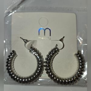 Silver Hoop Earrings